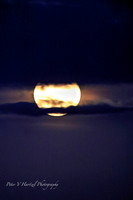 Harvest moon Taylors Falls PVH