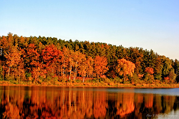 fall reflections