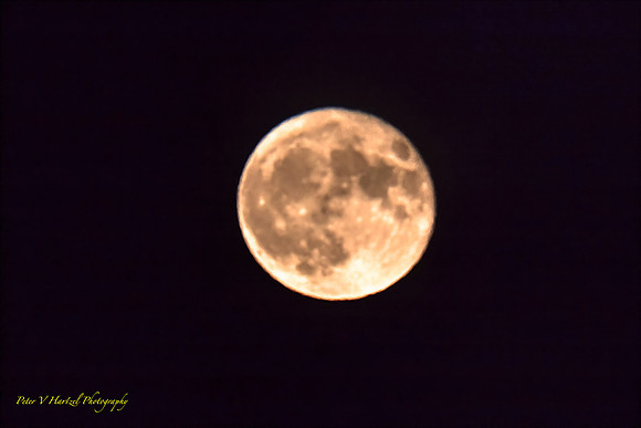 Harvest Moon at peak on day two_001