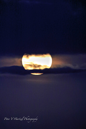 Harvest moon Taylors Falls PVH