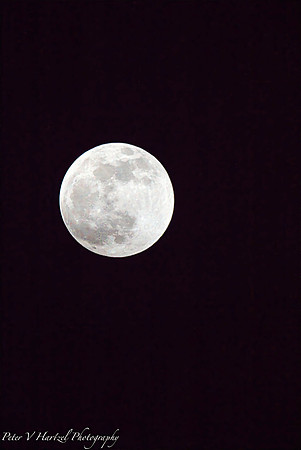 Super moon-PVH