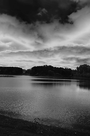The calm before the storm-B+W-PVH