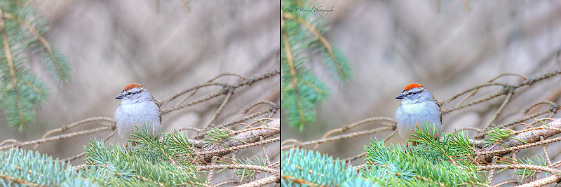 Before & After Editing