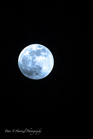 Super blood wolf moon-soft light PVH