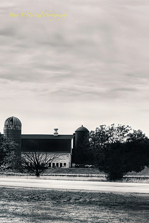 Lake Elmo Barn_PVH