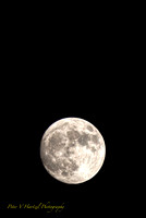 Frost Moon-PVH