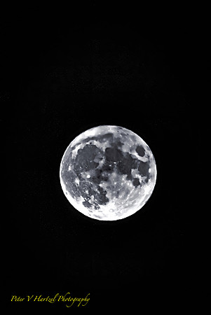 Corn Harvest Moon-B+W dramatic