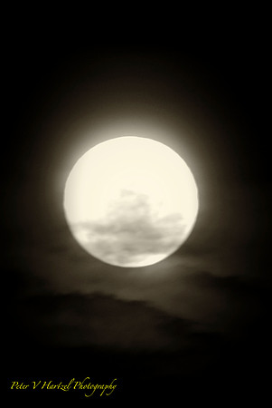 Dreamscape Wolf Moon_001