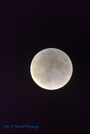 Full Moonlight_001