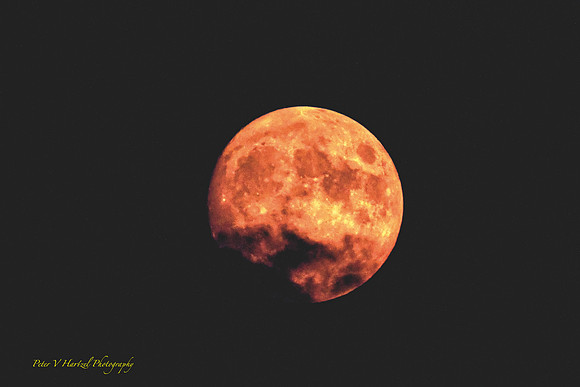 Strawberry moon:soft light