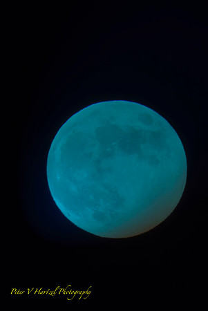 Winter Full Moon-Blue Moon-PVH