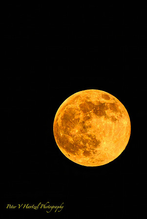 Pink Super Moon-High on the horzion-PVH