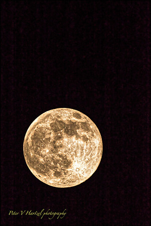 Pink Super moon-soft light