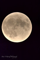 Blue moon In the summer sky-PVH
