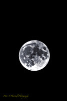 Corn Harvest Moon-B+W dramatic