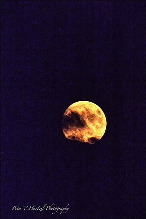 Strawberry moon