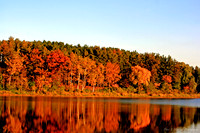 fall reflections