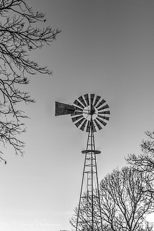Windmill B+W