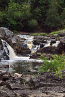 In the Northwoods-Jay Cooke