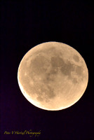 Buck moon:warming filter