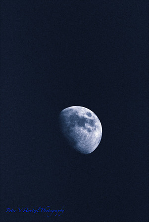 Summer moon