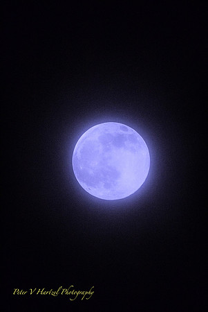Super Winter moon-Blue tint_001