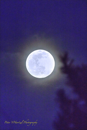 Super Worm Moon