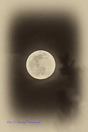 Super Worm MoonOld style jpg_001