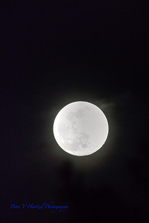 Super Worm Moon-Halo