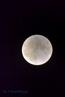 Full Moonlight_001