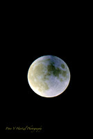 Corn Harvest Moon with cooling filter