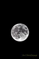 Corn Harvest Moon