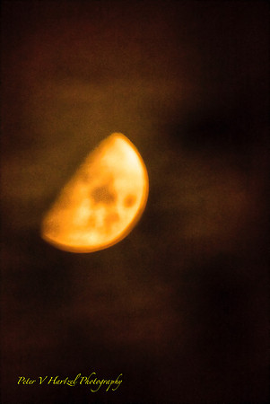 Silky Moon