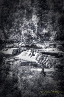 Jay cooke falls by the river B+W