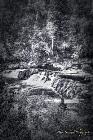 Jay cooke falls by the river B+W