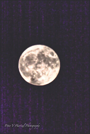 Harvest moon at its peak_001