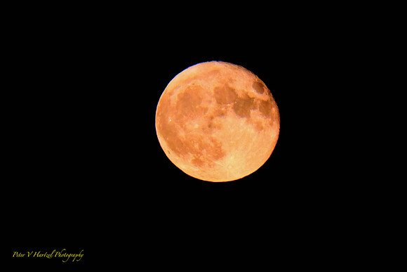 Harvest Moon-Full horzion