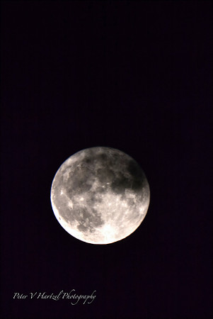 Spooky Harvest Moon
