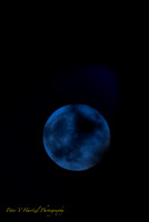 Halloween moon-blue