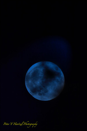 Halloween moon-blue