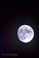 Frost Moon:cooling filter