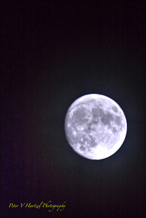 Frost Moon:cooling filter