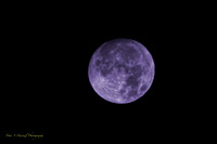 Blue Frost Moon