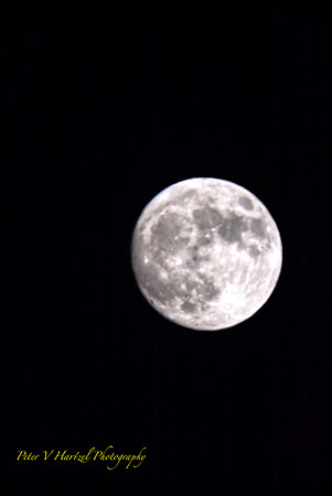 Frost moon-soft light
