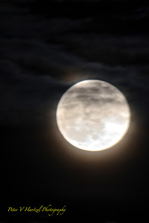 Wolf Moon-soft light