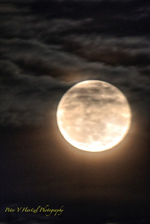 Wolf Moon-Warming Filter
