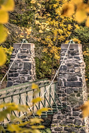 fall at Jay cooke