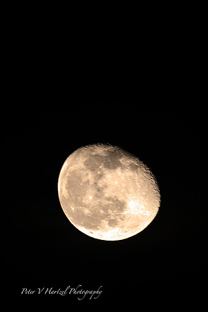 Winter moon-soft light w: warming filter
