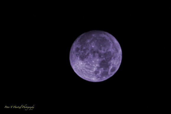 Blue Frost Moon