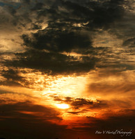 Hudson Sunset-soft light-PVH.jpg